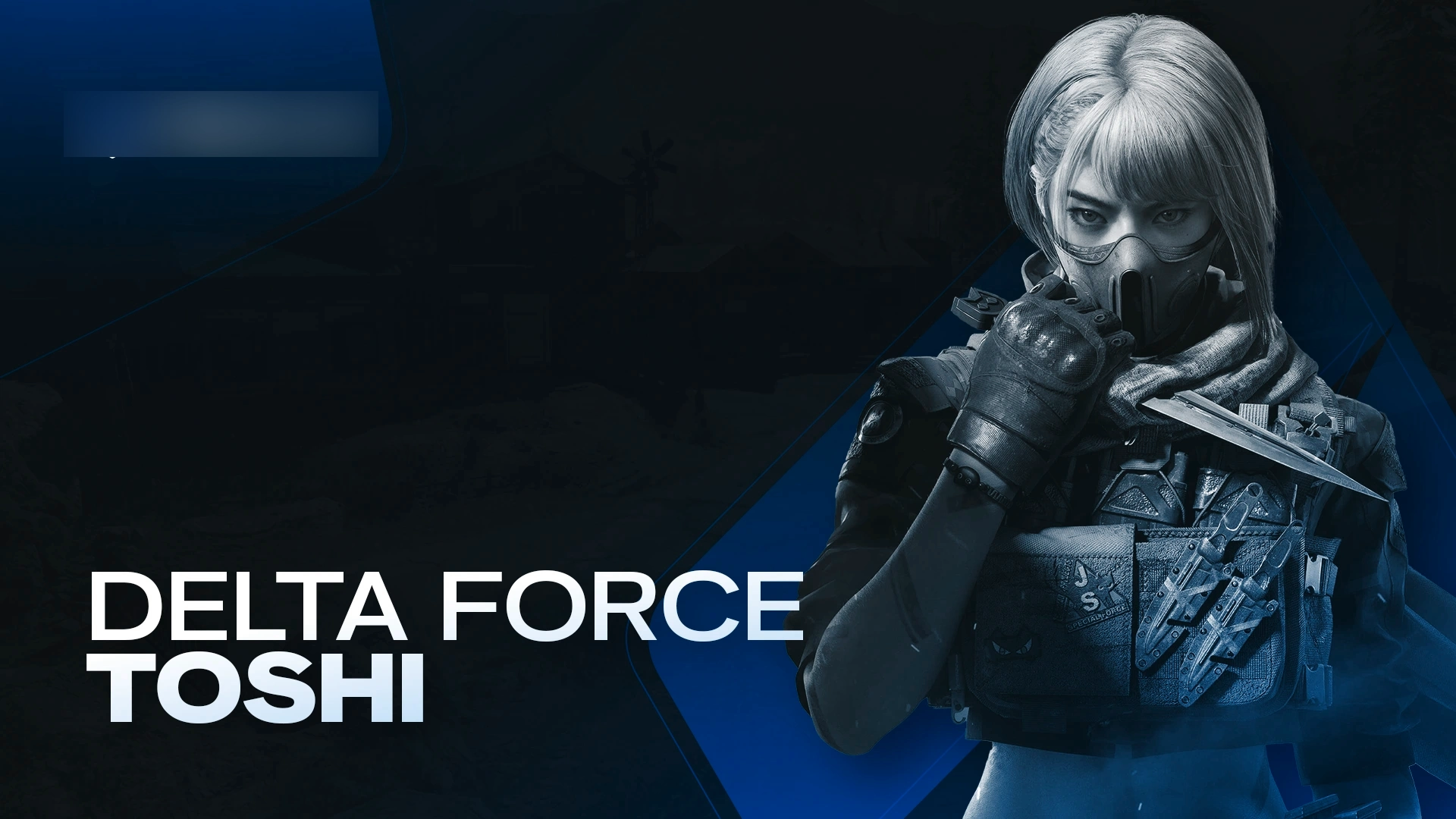 Toshi: Delta Force Internal Cheat
