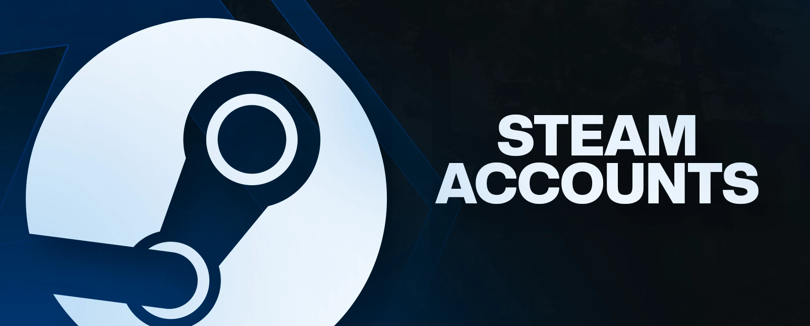 Steam Accounts
